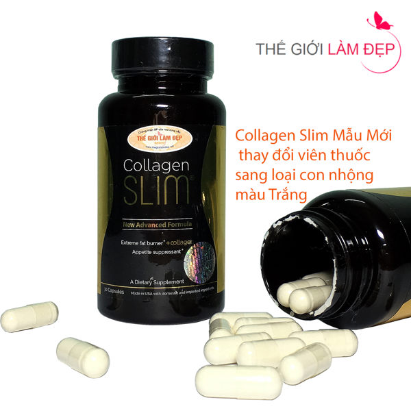 Collagen Slim 01