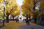Đại học Tokyo Nhật Bản, nơi theo học của những thần đồng 1
