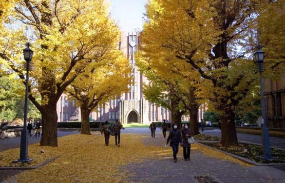 Đại học Tokyo Nhật Bản, nơi theo học của những thần đồng 1